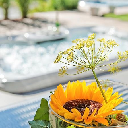 Zeitraum Ferienwohnung Braunhoernle Elzach Exteriér fotografie